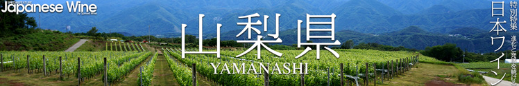 進化と発展を続ける「日本ワイン」